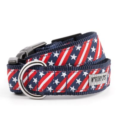 Weaver Leather Spike Dog Collar, 06-1450-25 at Tractor Supply Co.