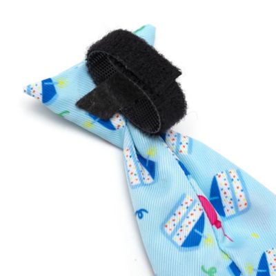 Image showing  Birthday Boy Adjustable Neck Tie Pet Collar Accessory