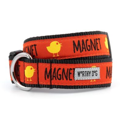 Worthy Dog Adjustable Chick Magnet Dog Collar, M,Red at Tractor Supply Co