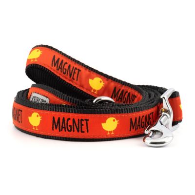 Worthy Dog Chick Magnet Nylon Dog Leash