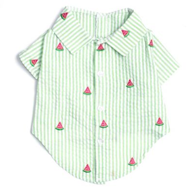 Worthy Dog Embroidered Watermelon Stripe Seersucker Button Up Look Pet Shirt