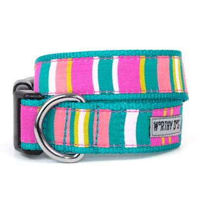 Worthy Dog Adjustable Fiesta Stripe Dog Collar