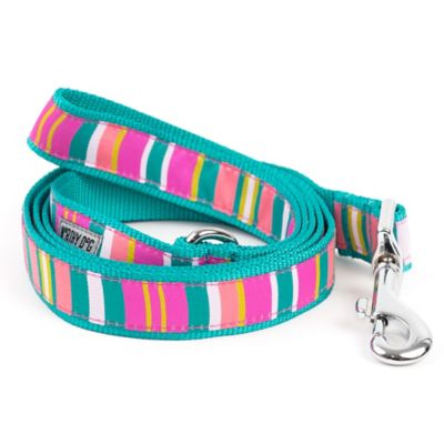 Worthy Dog Fiesta Stripe Nylon Dog Leash