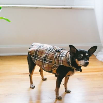 Image showing  Flannel Plaid Adjustable Pet Dress