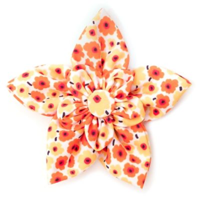 Image showing  Fleurs Flower Adjustable Pet Collar Accessory