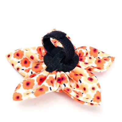 Image showing  Fleurs Flower Adjustable Pet Collar Accessory