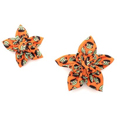 Image showing  Frank Flower Adjustable Pet Collar Accessory