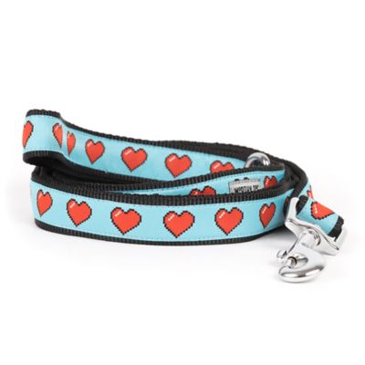 Worthy Dog Graphic Hearts Nylon Dog Leash