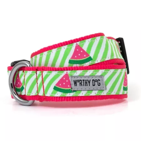 Worthy Dog Green and Watermelon Striped Adjustable Dog Collar Dog Basic Collars