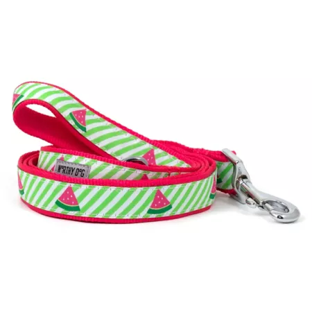 Worthy Dog Watermelon Green Striped Dog Leash Dog Basic Leashes