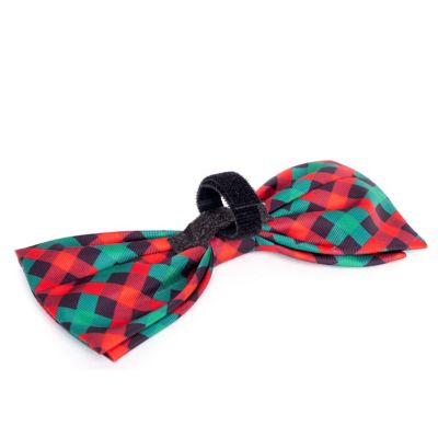 Image showing  Holiday Check Bow Tie Adjustable Pet Collar Accessory
