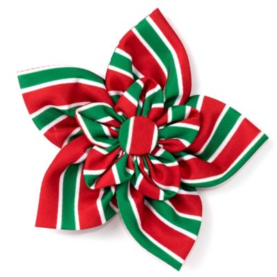 Product color Red/Green