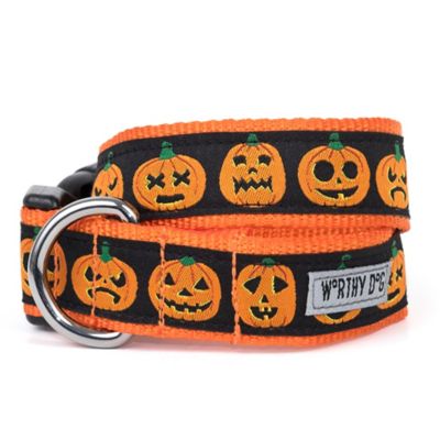 Worthy Dog Adjustable Jack-O-Lantern Dog Collar