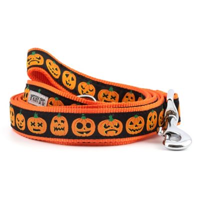 Worthy Dog Jack-O-Lantern Dog Leash