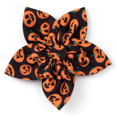 Worthy Dog Jack-O-Lantern Flower Adjustable Pet Collar Accessory