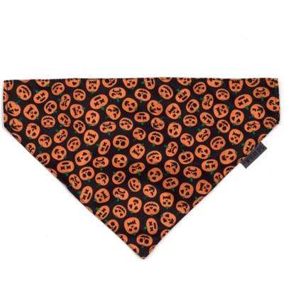 Worthy Dog Jack-O-Lantern Slide-On Pet Bandana