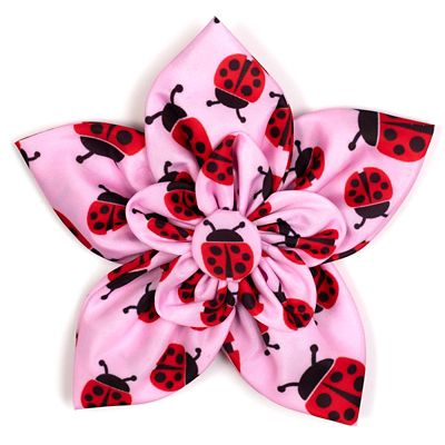 Worthy Dog Ladybugs Flower Adjustable Pet Collar Accessory