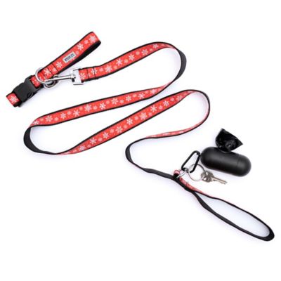 Image showing  Let It Snow Nylon Dog Leash