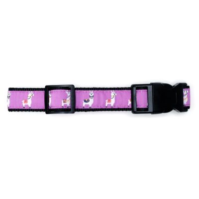 Image showing  Adjustable Llamas Dog Collar