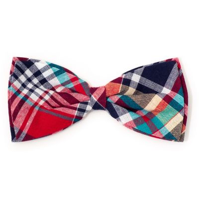 Image showing  Madras Plaid Bow Tie Pet Collar Accessory