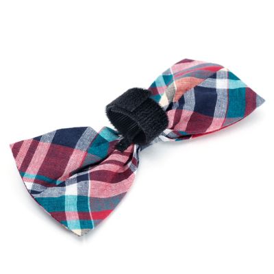Image showing  Madras Plaid Bow Tie Pet Collar Accessory
