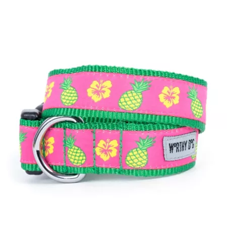 Worthy Dog Adjustable Pineapple Dog Collar Dog Basic Collars