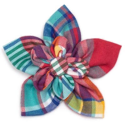 Product TrademarkColor1