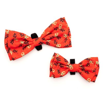Image showing  Rudy Bow Tie Adjustable Pet Collar Accessory