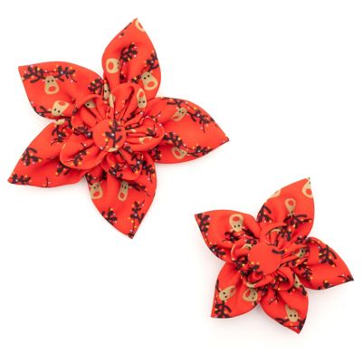 Image showing  Rudy Flower Adjustable Pet Collar Accessory