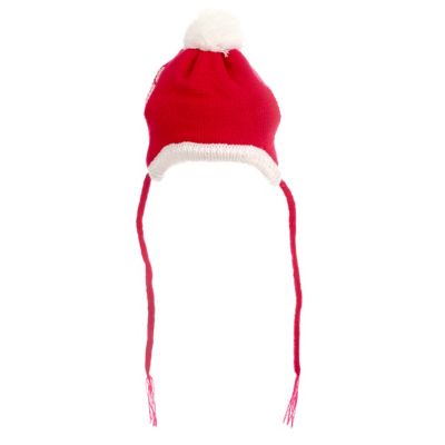 Worthy Dog Santa Knit Dog Hat