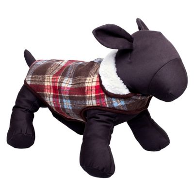 Image showing  Sherpa-Lined Alpine Dog Jacket