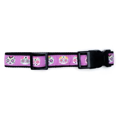 Image showing  Adjustable Skeletons Dog Collar, Purple