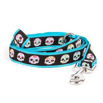 Image showing  Skeletons Nylon Dog Leash