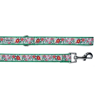 Image showing  Spring Garden Nylon Dog Leash