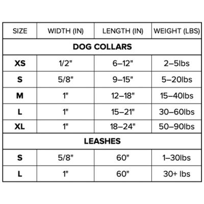 Image showing  Stamp Print Nylon Dog Leash