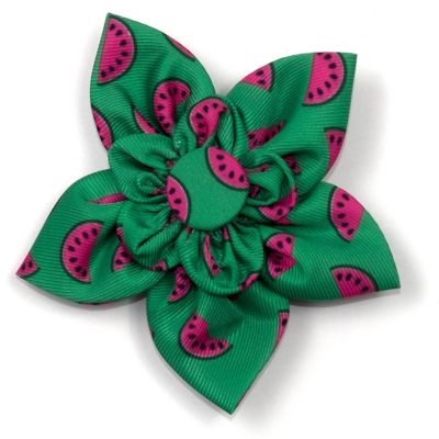 Image showing  Watermelon Flower Adjustable Pet Collar Accessory
