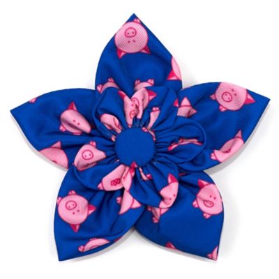 Worthy Dog Wilbur Pig Flower Adjustable Pet Collar Accessory