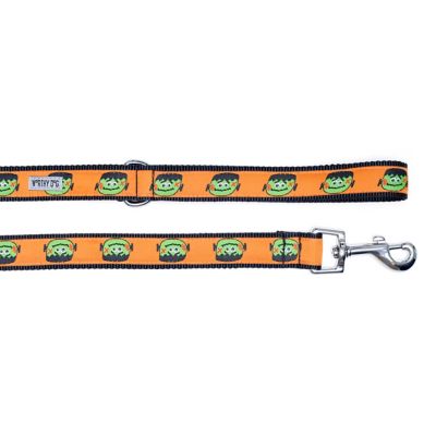 Image showing  Frank Nylon Dog Leash