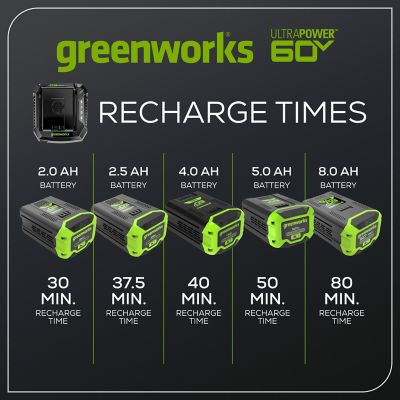 Image showing 5 th Greenworks 6A 0V UltraPower Lithium-Ion Rapid Battery Charger