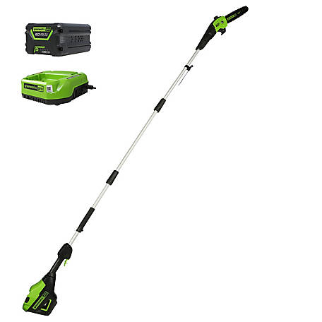Greenworks 60V Cordless Brushless Lithium-Ion Battery 10 in. Pole Saw, 2.0Ah Battery & Charger, 14.5 ft. Pole Saw Reach, 1405602