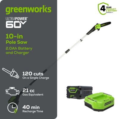 Image showing  10 in. 60V Cordless Battery Pole Saw, Battery and Charger Included