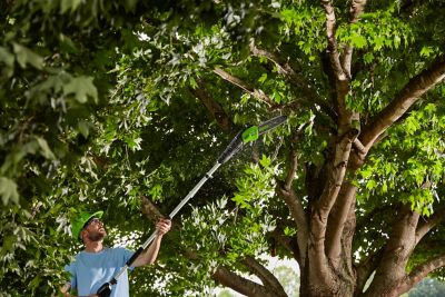 Image showing  10 in. 60V Cordless Battery Pole Saw, Battery and Charger Included