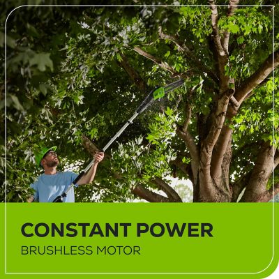 Image showing  10 in. 60V Cordless Battery Pole Saw, Battery and Charger Included