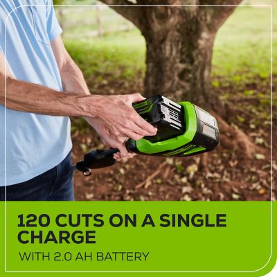 Image showing  10 in. 60V Cordless Battery Pole Saw, Battery and Charger Included