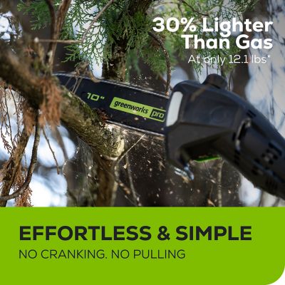 Image showing 5 th Greenworks 10 in. 60V Cordless Battery Pole Saw, Battery and Charger Included