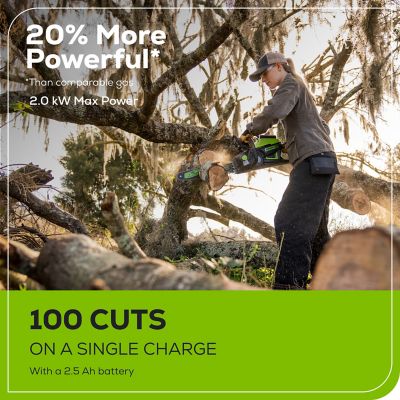 Image showing  16 in. 60V Cordless Chainsaw, Battery and Charger Included