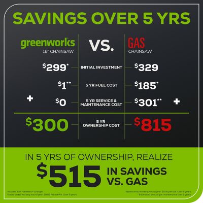 Image showing 7 th Greenworks 16 in. 60V Cordless Chainsaw, Battery and Charger Included