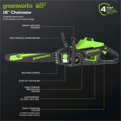 Image showing 8 th Greenworks 16 in. 60V Cordless Chainsaw, Battery and Charger Included