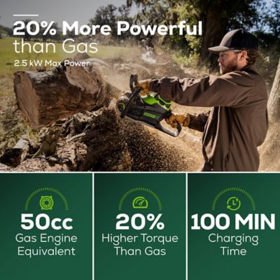 Image showing  18 in. 60V Cordless Chainsaw, Battery and Charger Included, 2023602