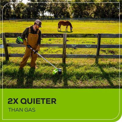 Image showing  16 in. 60V Straight Shaft Cordless String Trimmer, Battery and Charger Included